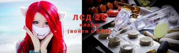трава Беломорск
