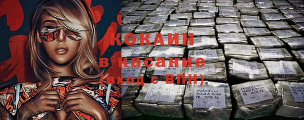 индика Белоозёрский