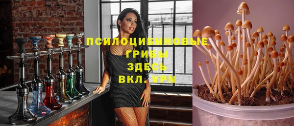 трава Беломорск